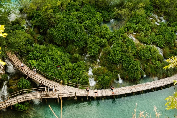 Hiking Tourists Walk Wooden Footbridge Surrounding Lake Natural Reserve Majestic — Stock Photo, Image