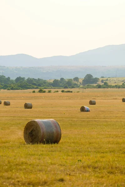 Rural Landscape Bales Wheat Straw Blurry Green Mountains Sunlight Countryside —  Fotos de Stock