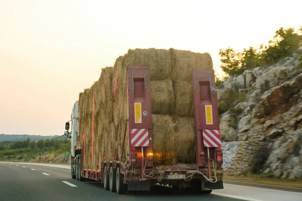 Truck drives on highway transporting bales of hay and straw at back sunset light. Huge vehicle carries bales for livestock feeding on mountain road