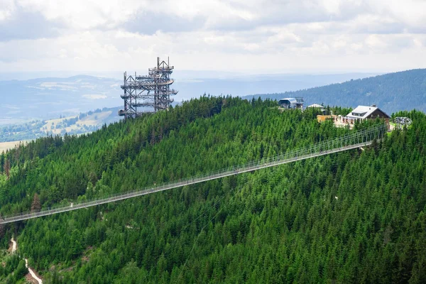 Sky Walk Observation Tower Forest Mountain Hills Sky Bridge 721 — Stock fotografie