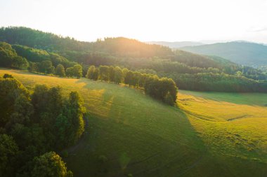 Bright sunset light breaks through treetops in highland with dense vegetation. Green trees grow in forest on hills at twilight aerial view