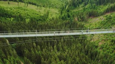 Turistler, Dolni Morava 'daki yeşil ormanlık vadi üzerinde yaya süspansiyonuyla Gökyüzü Köprüsü' nde yürüyorlar. İnsanlar güneşli yaz günlerinde havadan manzaraya hayranlıkla bakıyor.