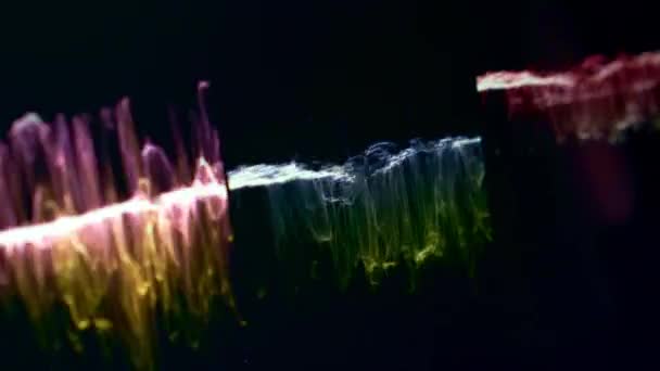 黒い背景マクロビュー上のデータを示す明るいネオン波形 音響振動解析試験 情報グラフィックデザインの概要 — ストック動画