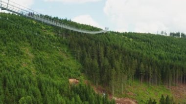 Dolni Morava vadisinde turistlerle Askıya Gök Köprüsü. Çek Cumhuriyeti hava sahasında güneşli yaz gününde yemyeşil ağaçlar ve çimenler