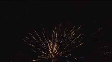 Gece gökyüzünde yeni yıl kutlamaları sırasında farklı renklerde havai fişekler patlatmak. Halk Noel 'i kutluyor ve havai fişeklerle parti veriyor.