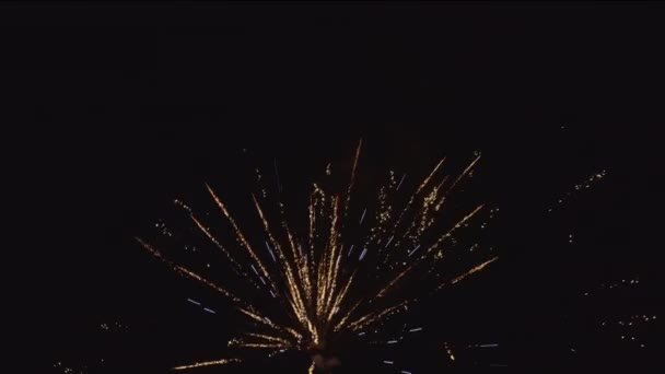 Artificii Care Explodează Diferite Culori Timpul Sărbătorii Anului Nou Cerul — Videoclip de stoc