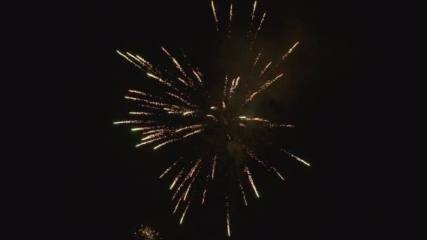 Yeni Yılı Gece Gökyüzünde Patlayan Havai Fişeklerle Kutluyoruz Yeni Yılın — Stok video