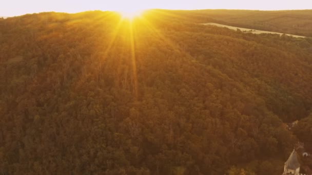 태양은 언덕에 스텐성 근처의 숲에서 자라는 나무들을 비춘다 체코의 풍경의 — 비디오