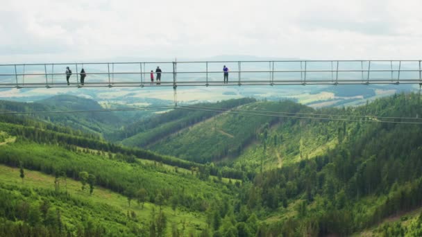 観光客は吊り橋で風景を表示します 夏の空の景色にチェコのドルニ モラヴァの高い丘の間の森林谷 — ストック動画