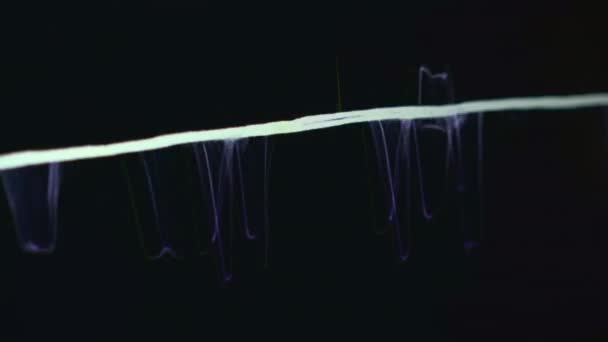 黒のコンピューター画面マクロビューで紫色の波形と線を分離します オーディオトラックのビジュアルパネルのプレゼンテーション デジタル生成映像 — ストック動画