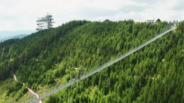 在Dolni Morava的森林峡谷上方悬挂行人天桥 吸引人的是捷克共和国空中俯瞰群山中的天空漫步塔 — 图库视频影像