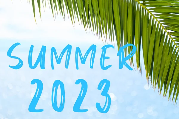 Letní 2023 Text Pozadí Palmovým Listem Modrým Mořem Šablona Blahopřání — Stock fotografie