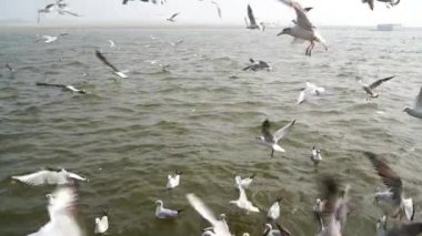Göl ve Nehir manzarası