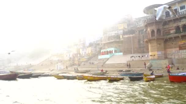 Varanasi Utter Pradesh Indien Januari 2022 Utsikt Över Den Heliga — Stockvideo