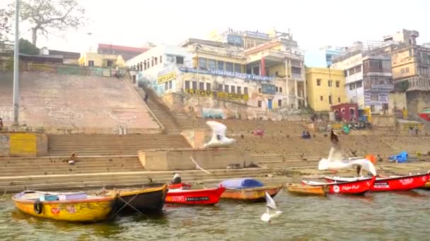 Varanasi Utter Pradesh Indien Januari 2022 Utsikt Över Den Heliga — Stockvideo