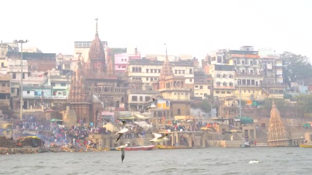 Varanasi Utter Pradesh Hindistan Ocak 2022 Ghatlardan Kutsal Varanasi Şehri — Stok video