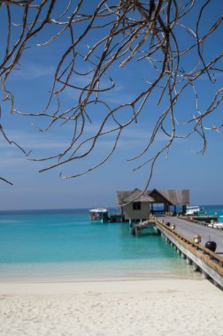 tropik sahil - Maldivler