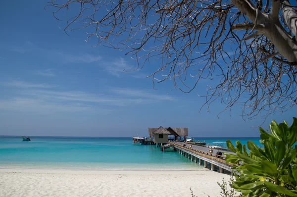 Praia tropical — Fotografia de Stock