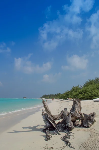 Spiaggia — Foto Stock