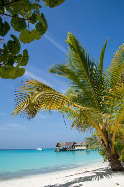 Playa tropical con cielo — Foto de Stock