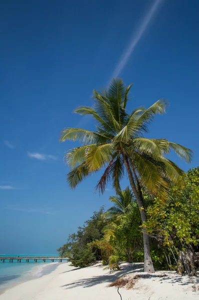 Spiaggia tropicale con cielo — Foto Stock