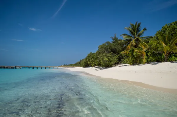 Spiaggia tropicale con cielo — Foto Stock