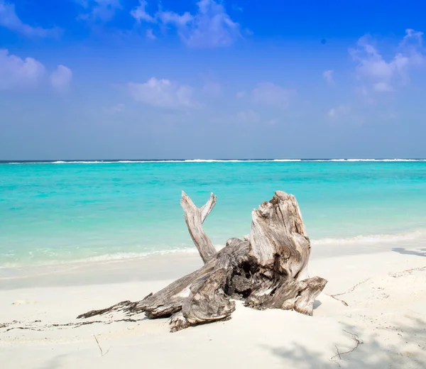 Tropical Beach Stock Photo