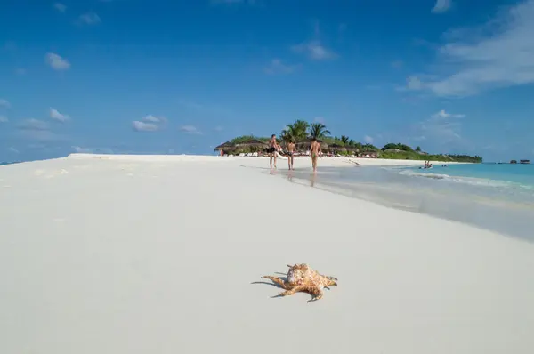 Sandy Natural Beach - Maldives — Stock Photo, Image