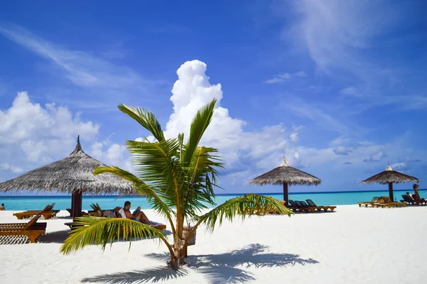 Spiaggia naturale di sabbia - Maldive — Foto Stock