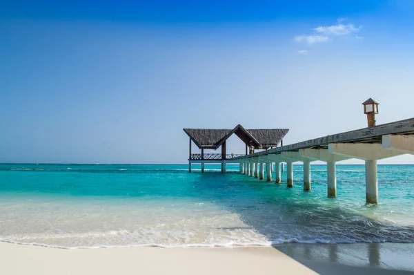 Spiaggia naturale di sabbia - Maldive Fotografia Stock