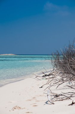 çöl beyaz kumlu plaj