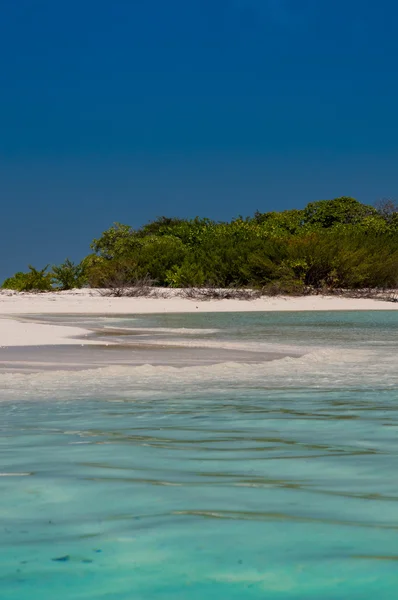 Tropiskt paradis, Himmelska stranden, Maldiverna — Stockfoto