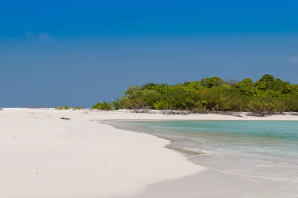 Vacanze nel paradiso tropicale — Foto Stock