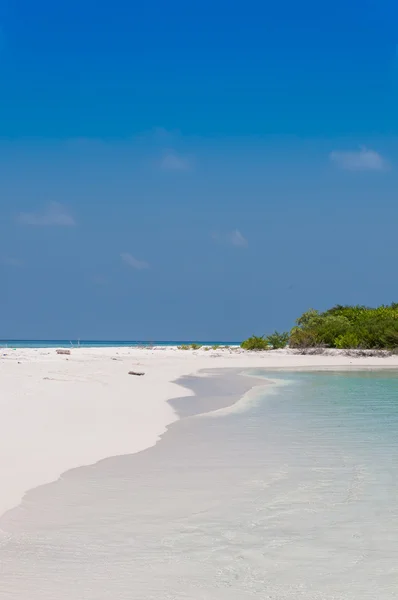 열 대 낙원, 하늘 해변, 몰디브 — 스톡 사진