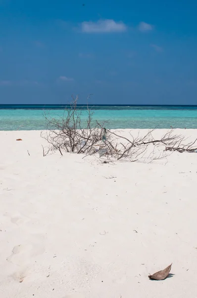 Hermosa playa — Foto de Stock