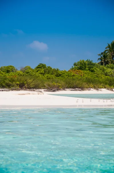 Paradiso tropicale, spiaggia paradisiaca, Maldive Fotografia Stock