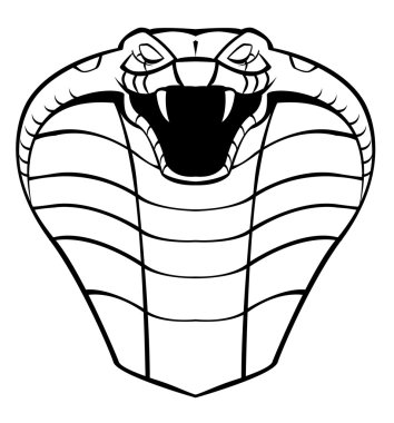 Vector illustration of cobra head vector