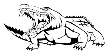Vector illustration of crocodile vector Vector illustration of crocodile vector