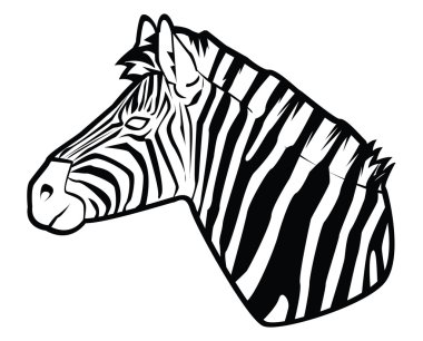 zebra vektör çizim
