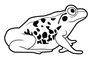 Kurbağa vektör çizim