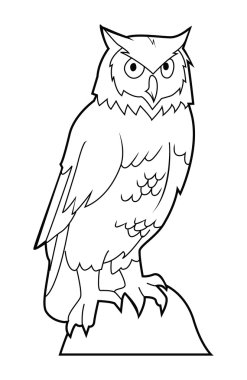 baykuş vektör çizim