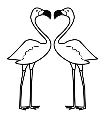 flaminggo vektör çizim