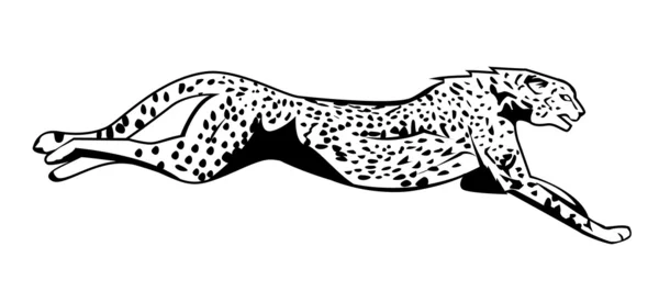 Vectorillustratie van cheetah-stap-springen — Stockvector