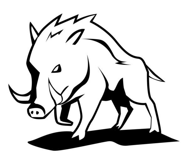 Vector illustration of wild boar