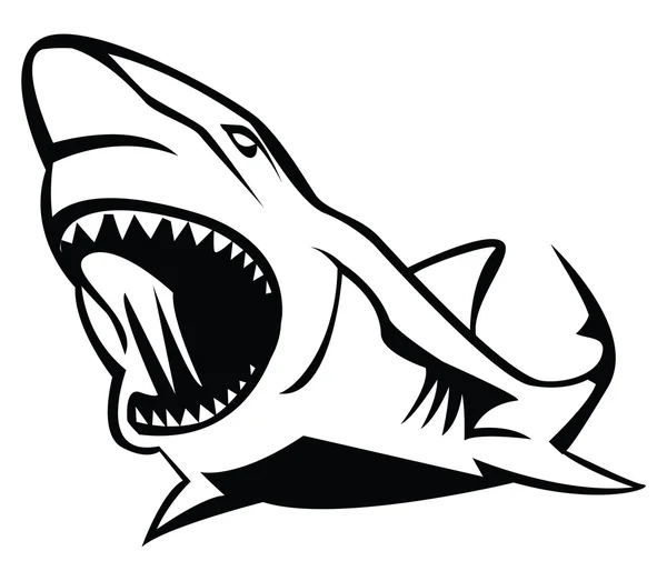 Vector illustration of shark — Stock Vector