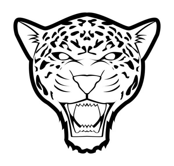ᐈ Drawing Jaguar Stock Images Royalty Free Jaguar Drawing