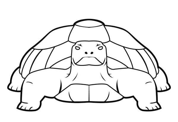 Vektorillustration der Schildkröte — Stockvektor