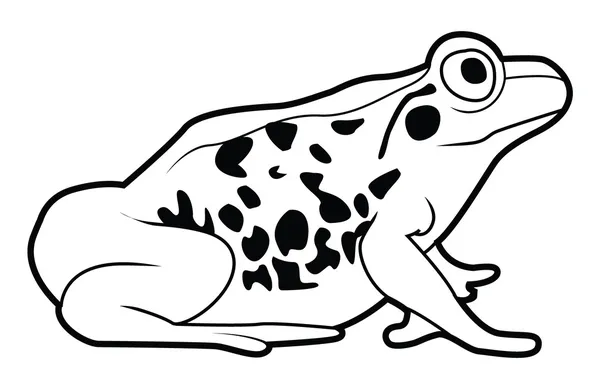 Vektorillustration von Frosch — Stockvektor