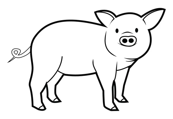 Vector illustration of pig — Stock Vector