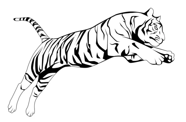 white tiger drawings